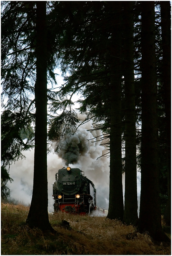 Hinauf zum Brocken