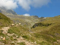 Hinauf zur Innsbrucker Hütte