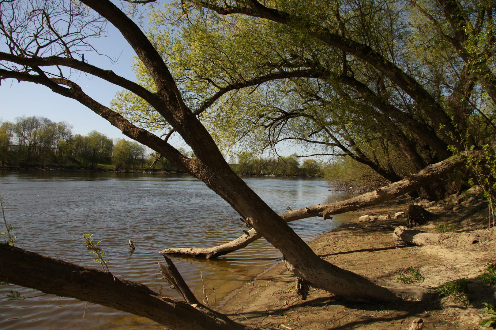 Hinaus in die Natur