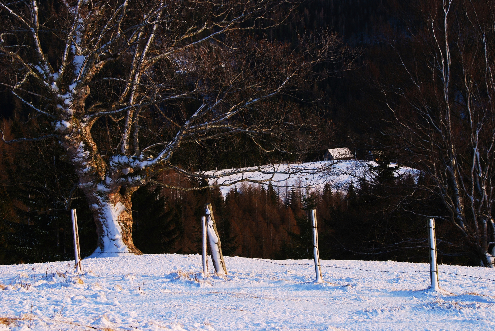 Hinaus in die Natur und tief durchatmen