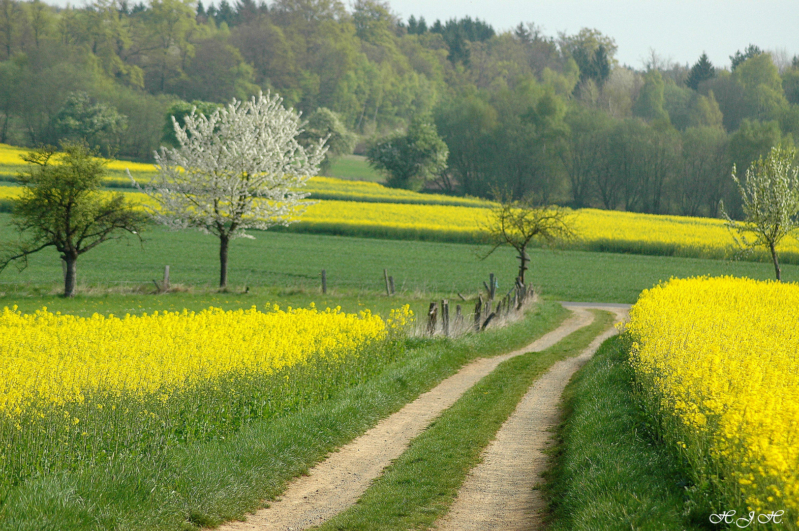 Hinaus ins Grüne