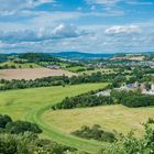 Hindenburgblick auf Disibodenberg 70