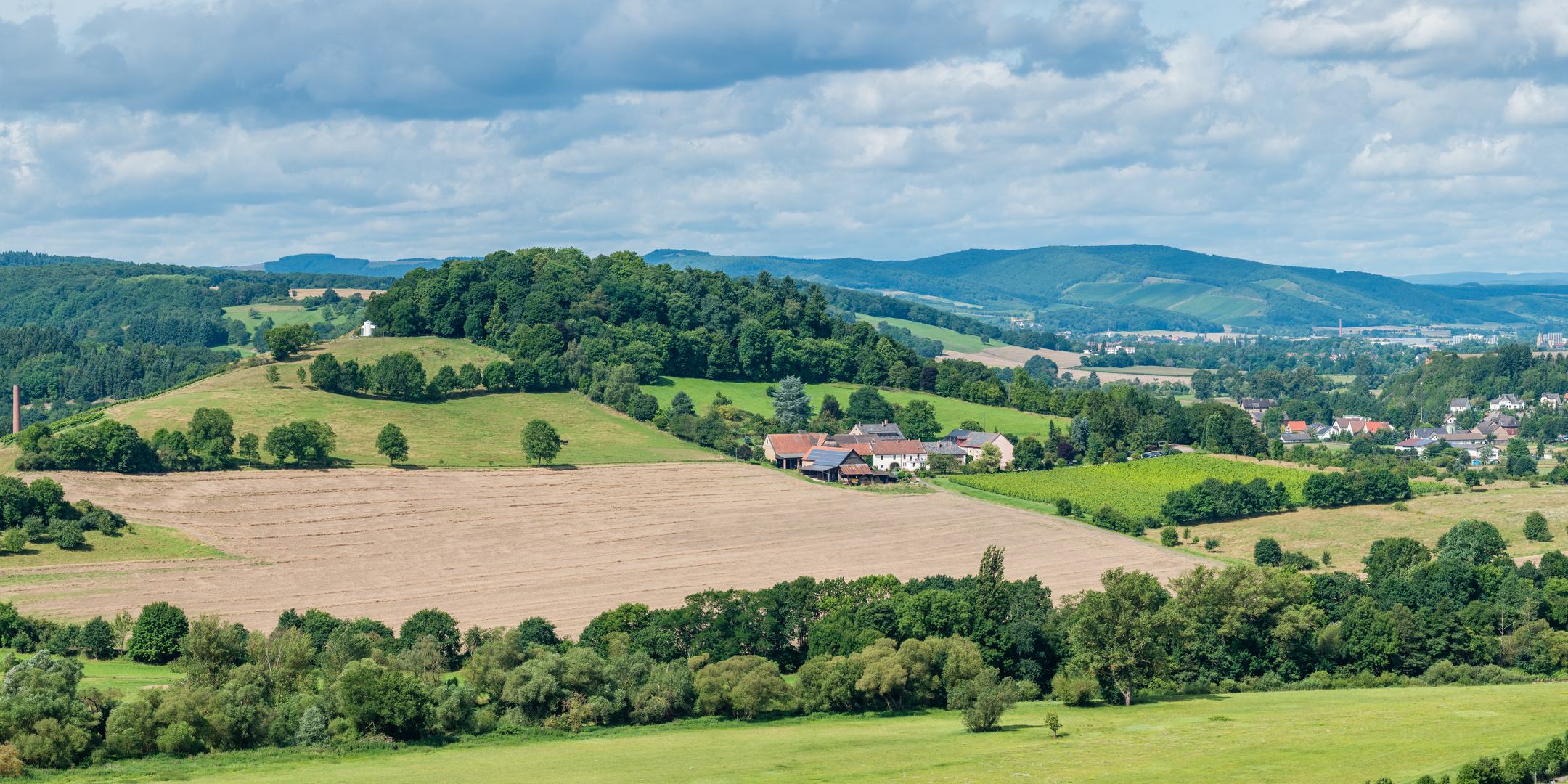 Hindenburgblick bei Odernheim (3)