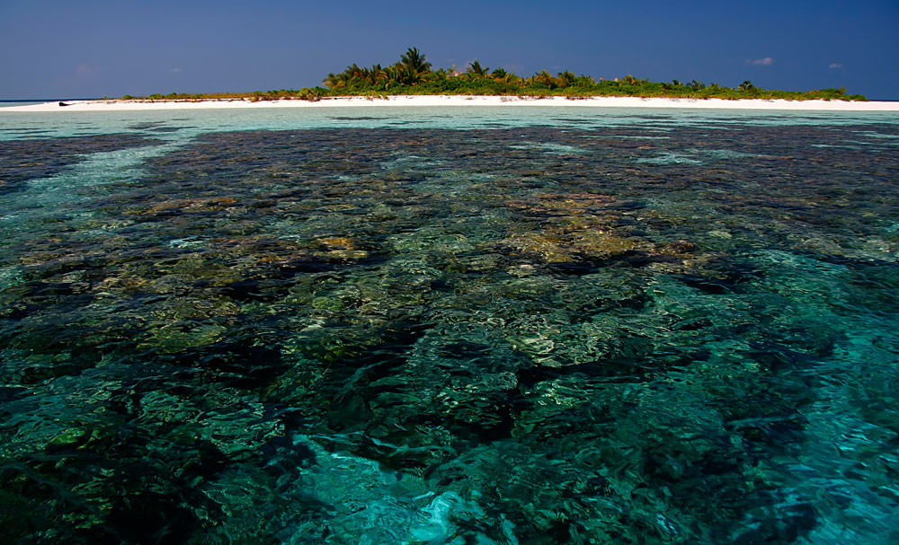 Hindernis Foto & Bild | asia, indian ocean, malediven Bilder auf