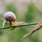 Hinderniss sind zum Überwinden da