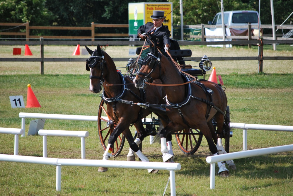 Hindernissfahren Turnier Herford 14.06.2009