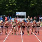 Hindernisslauf Frauen 1 .. auf die Plätze .......