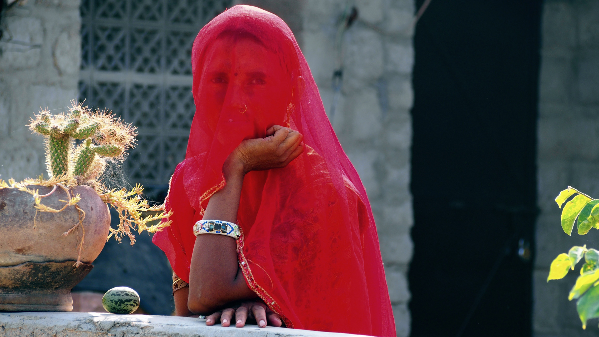 Hindu-Frau mit Kopftuch ("Ghungat"), Luni / Rajasthan, November 2016