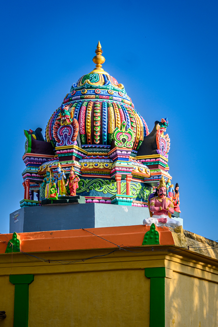 Hindu Temple in Thiyagarajar Thirumana Mandabam