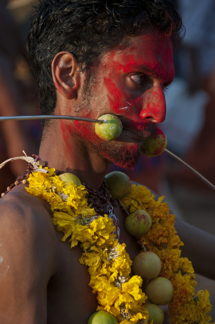 Hindufest