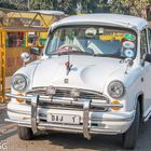 Hindustan Ambassador