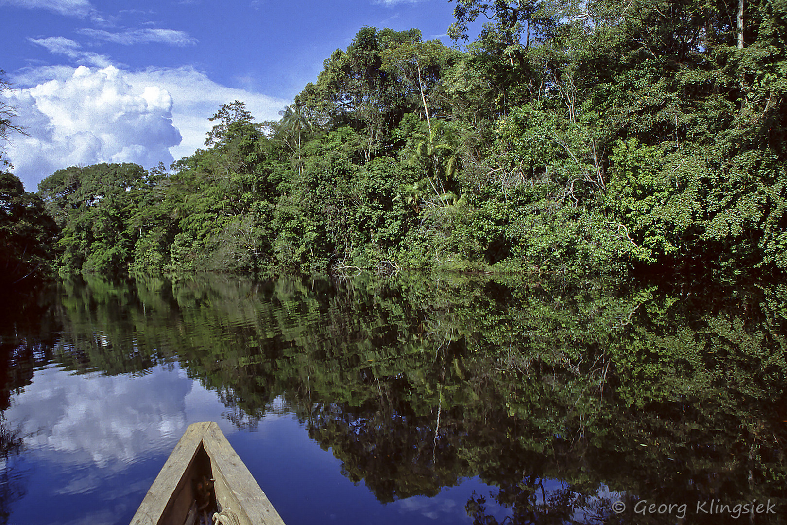 Hinein in den Amazonas-Regenwald 