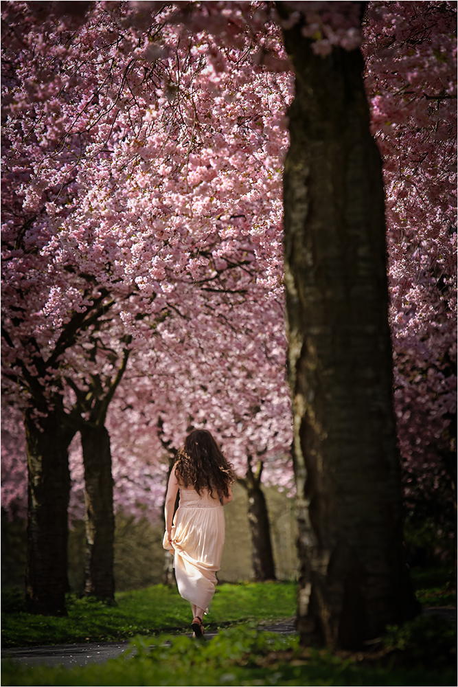 Hinein in den Frühling