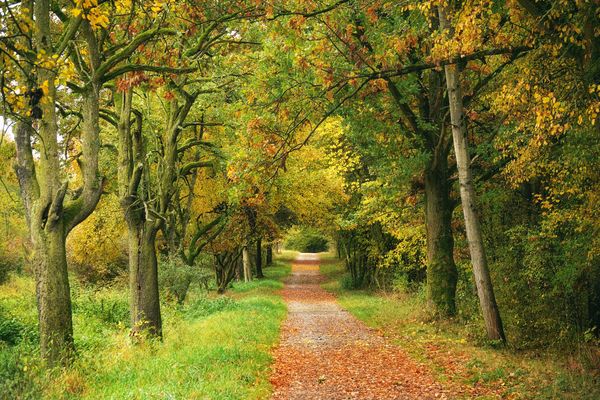 Hinein in den Herbst .... II