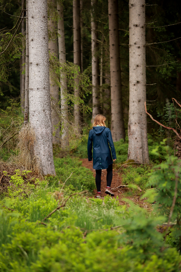 Hinein in den Wald 