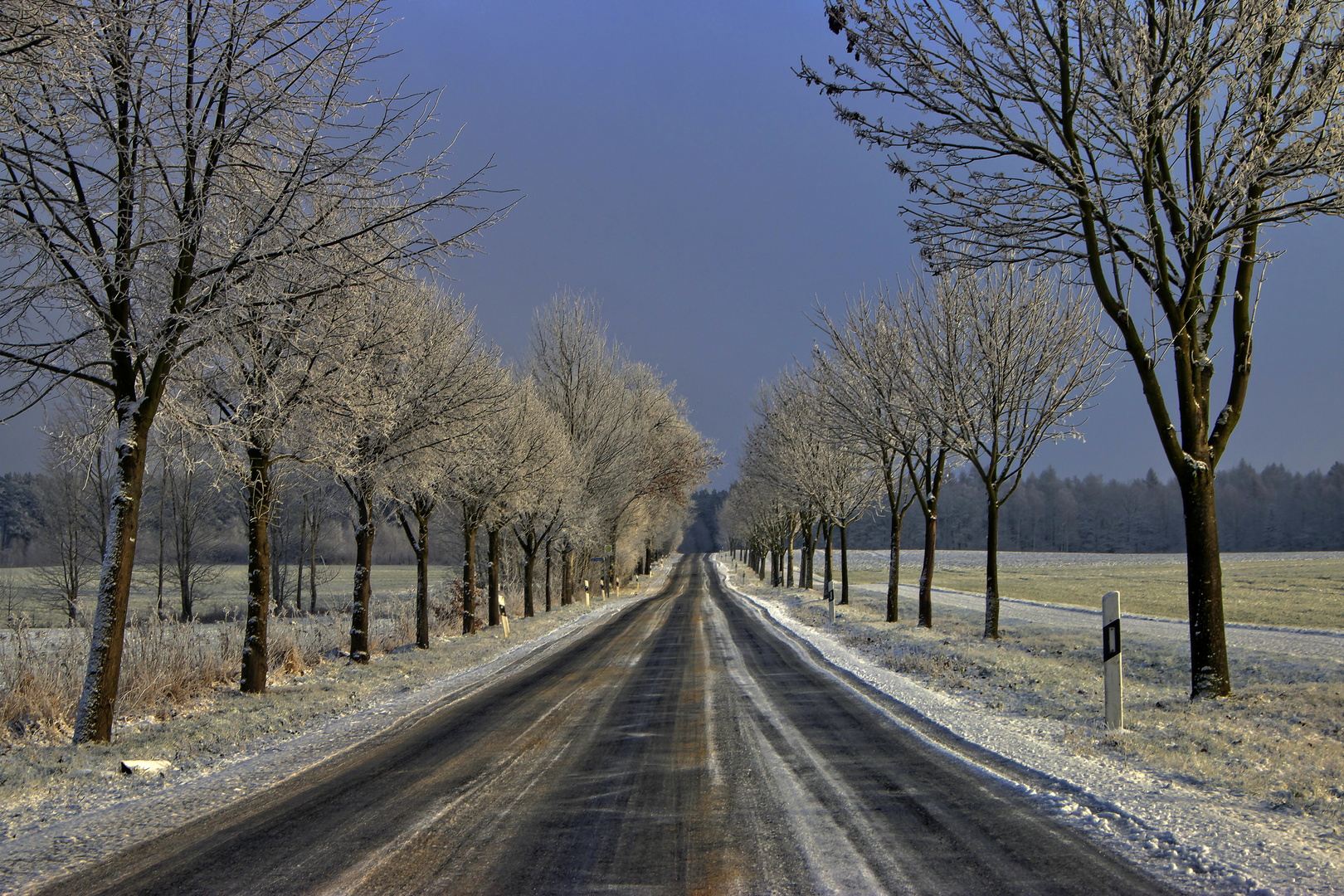 Hinein in den Winter ...