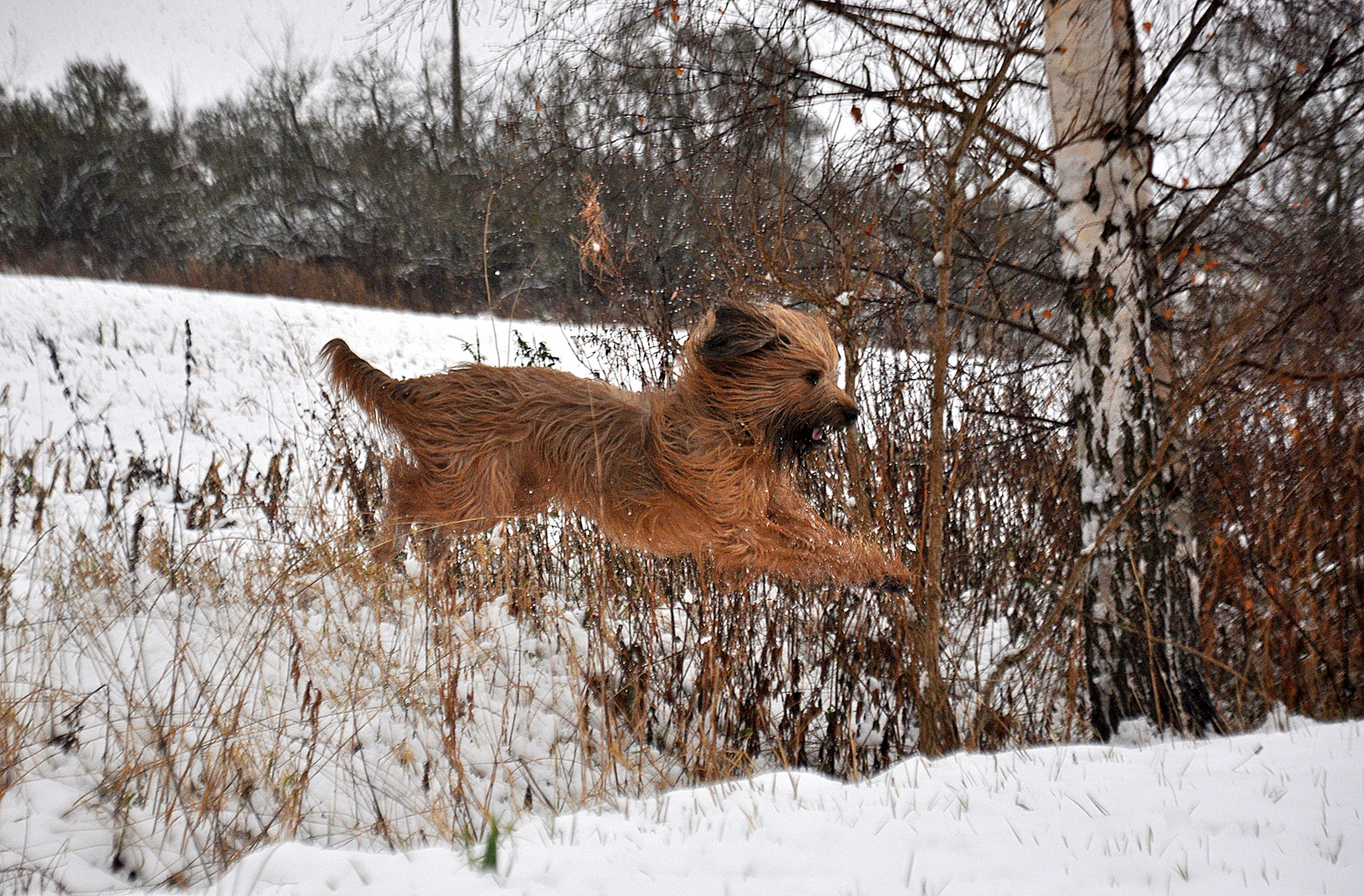 Hinein in den Winter