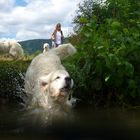 Hinein ins Vergnügen