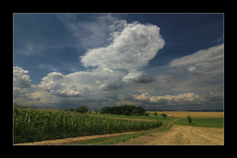 hineinspaziert in die Landschaft