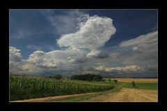 hineinspaziert in die Landschaft