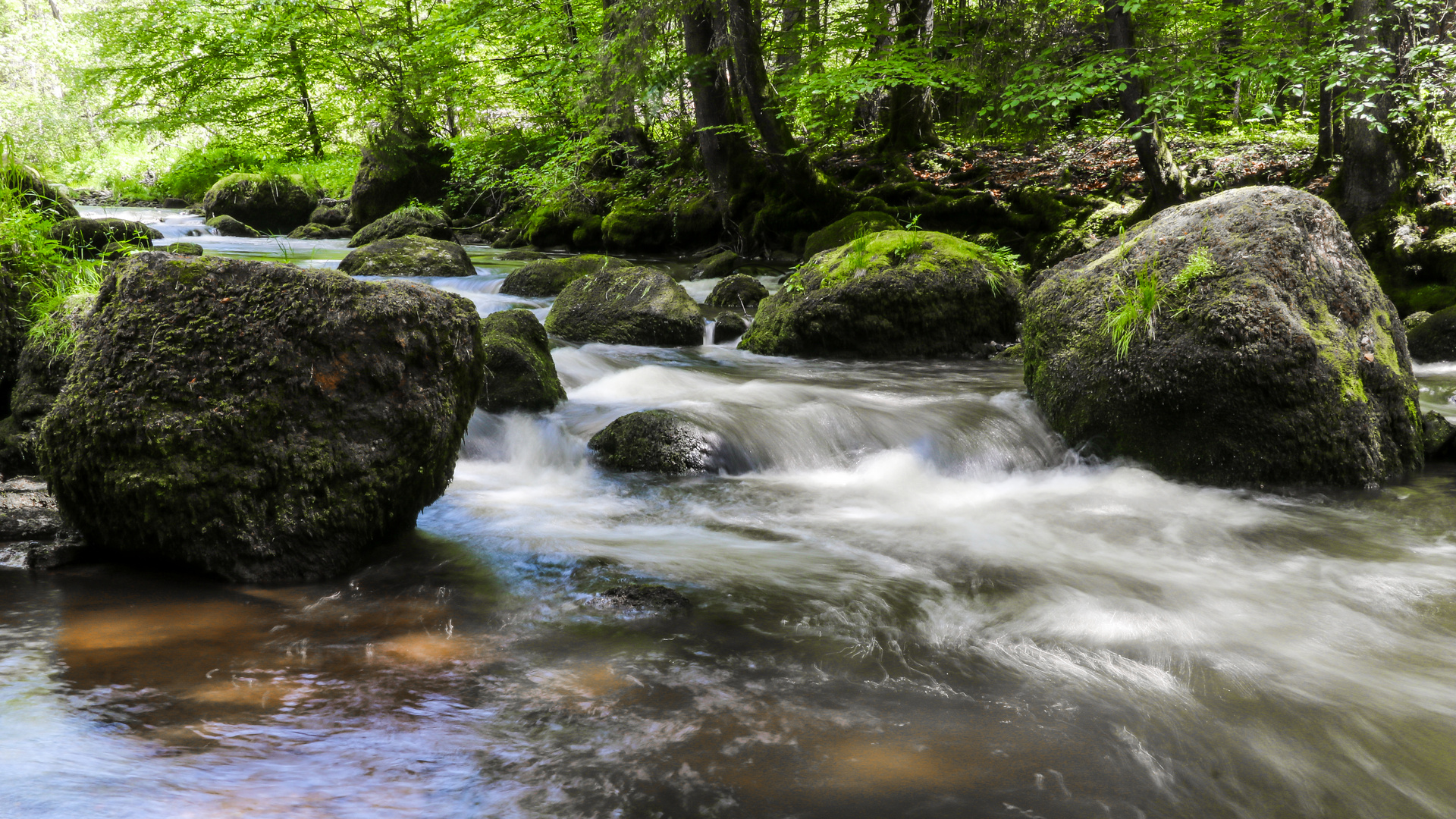 Hinkelsteine in der Rottach im Allgäu