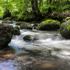 Hinkelsteine in der Rottach im Allgäu