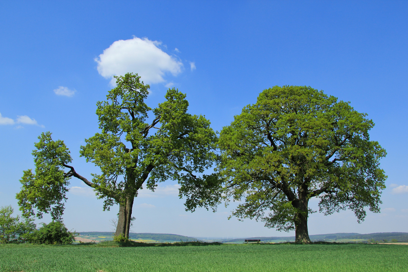 Hinsetzen und geniesen.