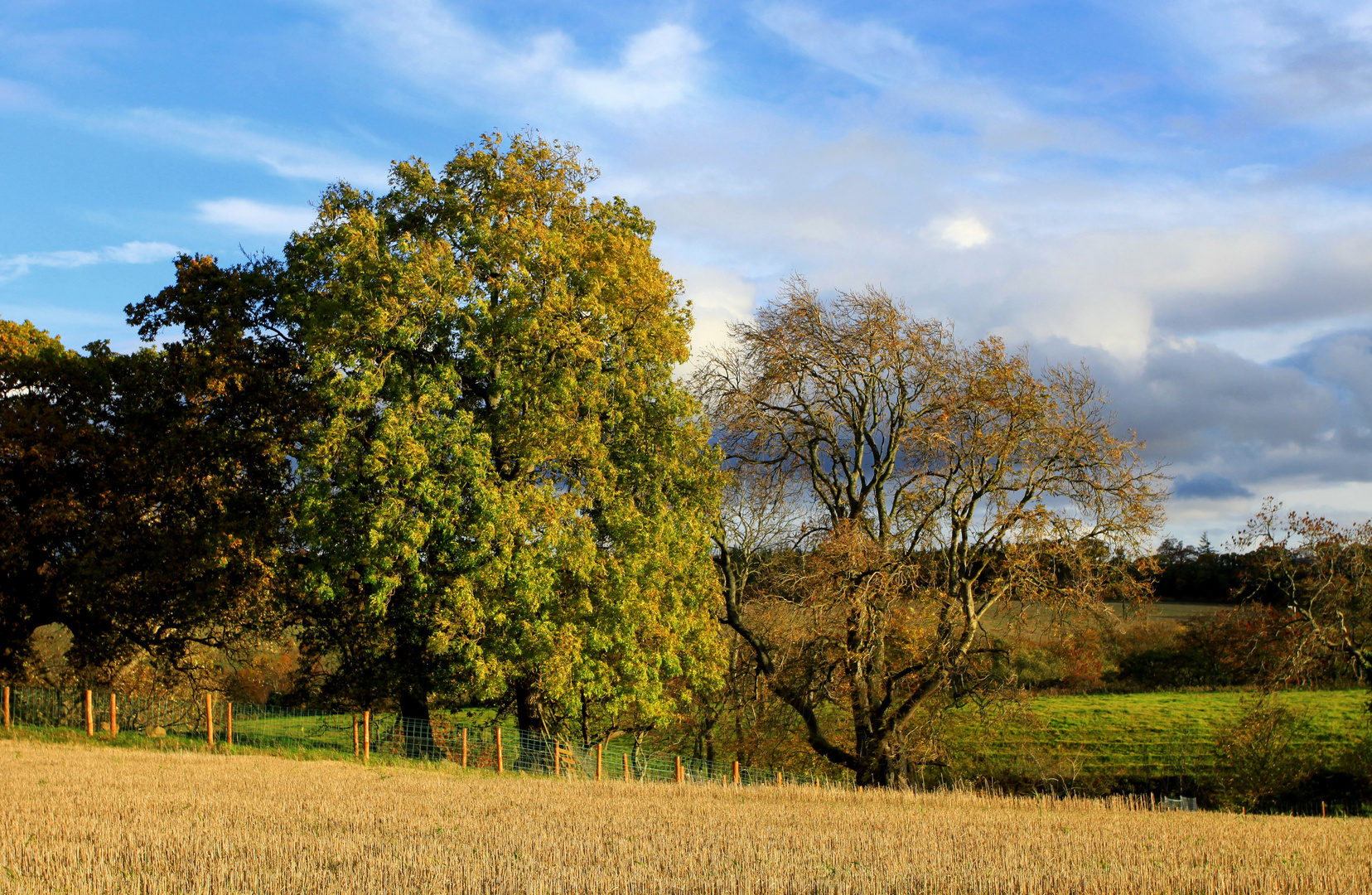 Hint of Autumn