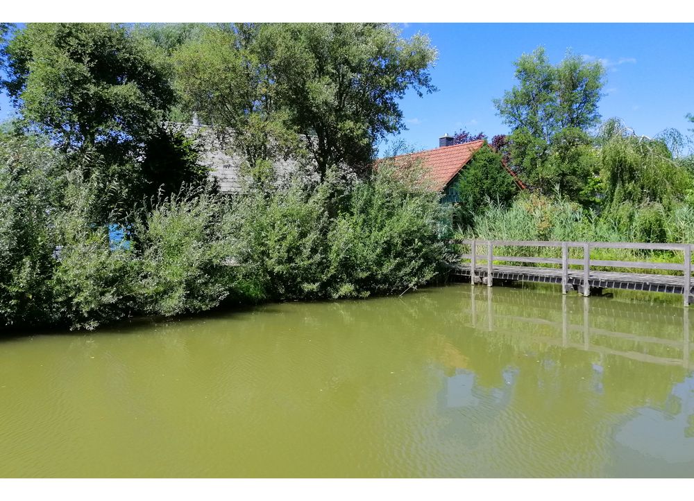 Hinten der See, vorne der Weiher