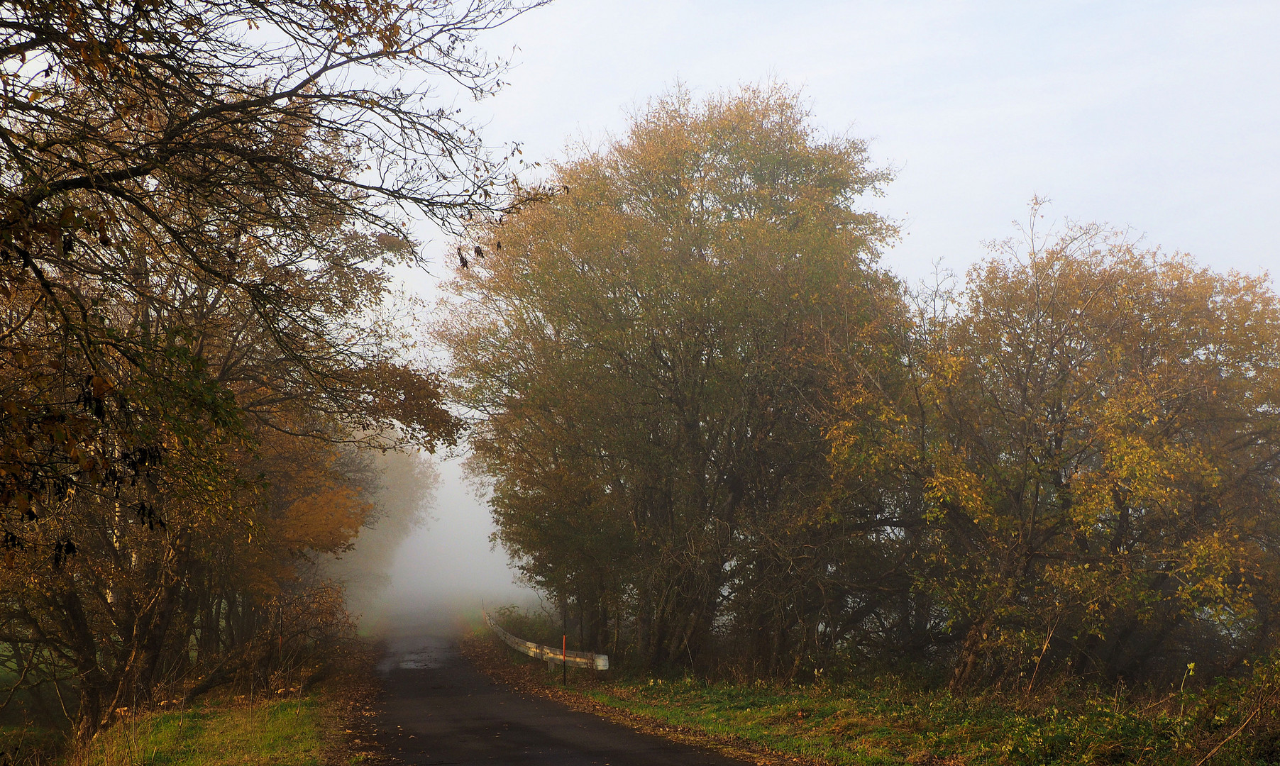 Hinten im Nebel lauert ein sehr böser Zauberer …