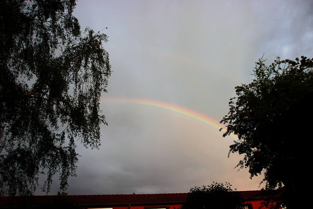 Hinten_100_4461_Regenbogen