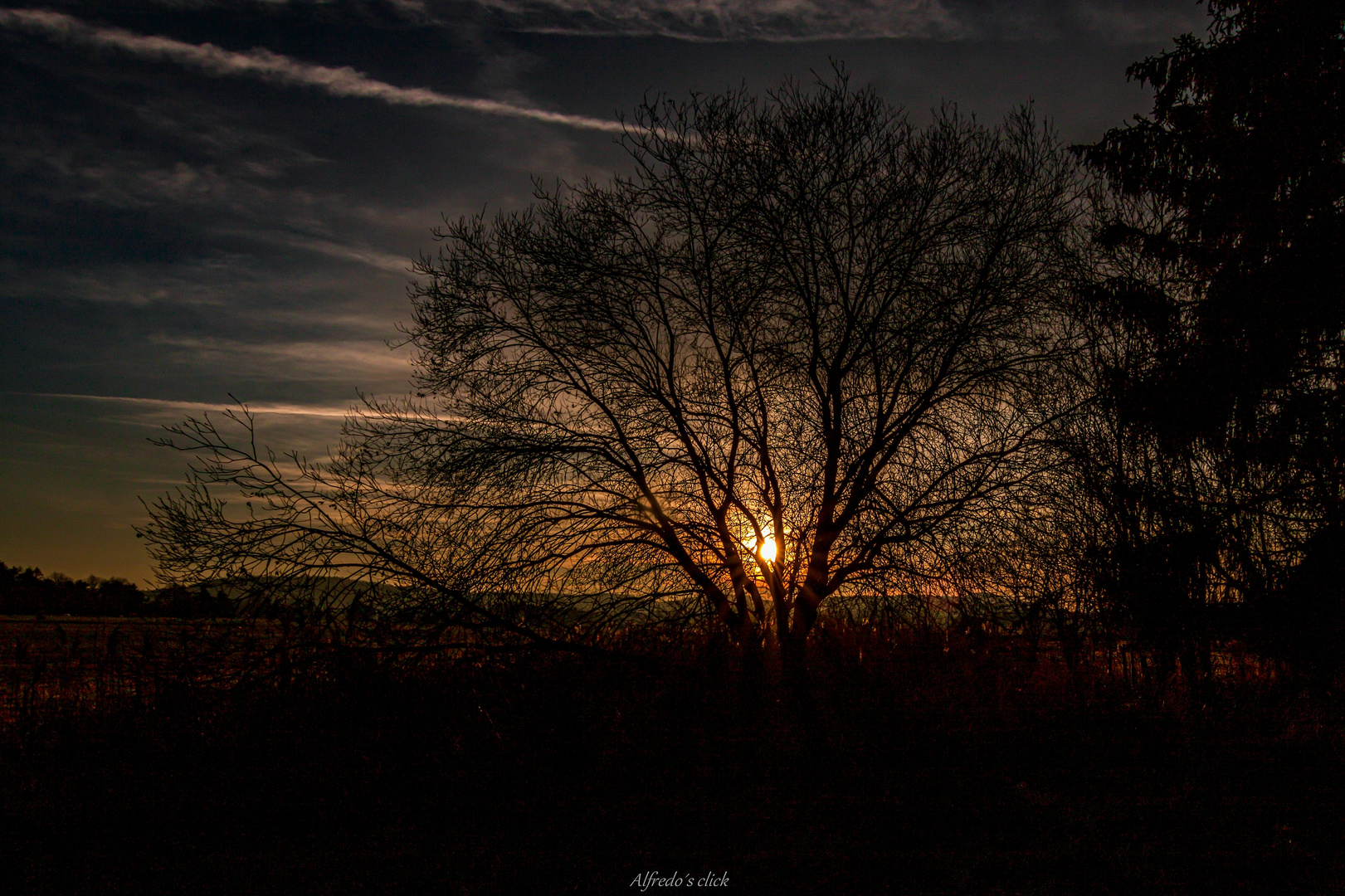 Hinter dem Baum