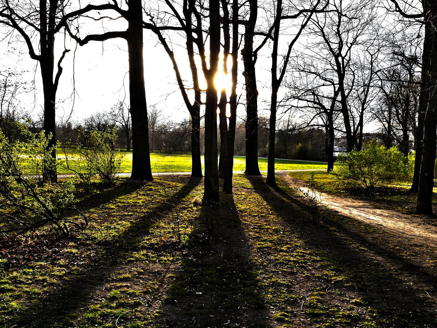 Hinter dem Baum