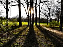 Hinter dem Baum