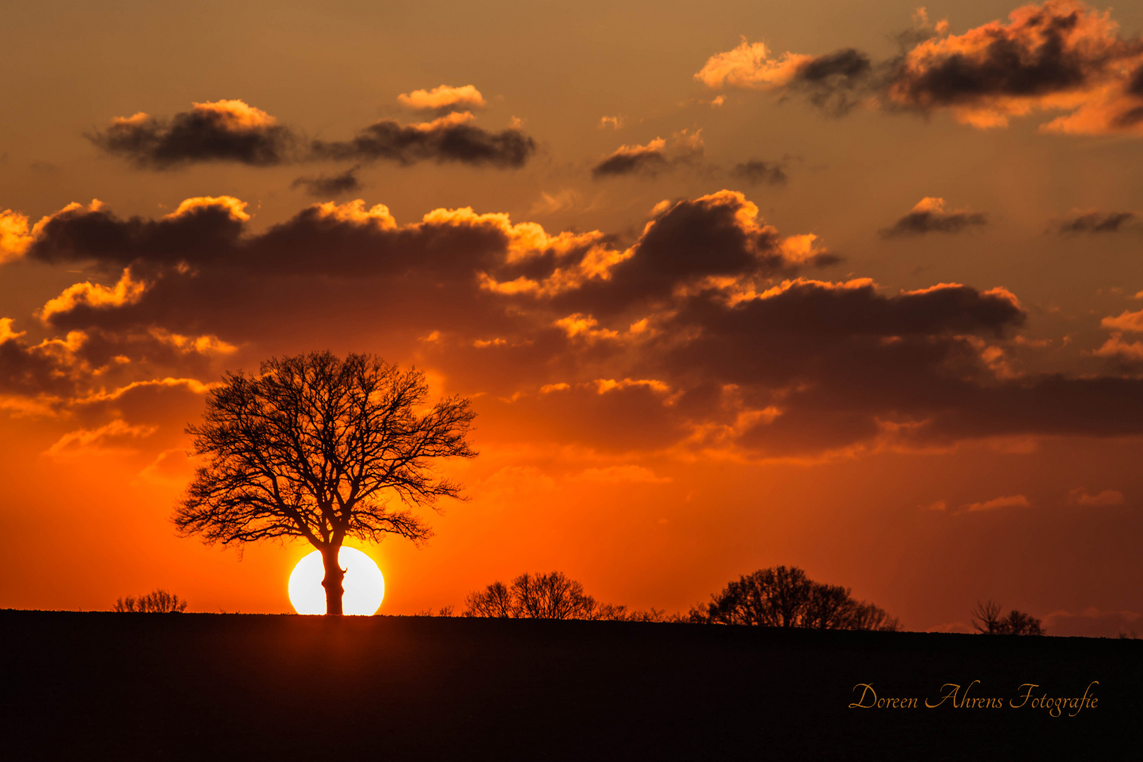 Hinter dem Baum...