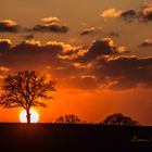 Hinter dem Baum...