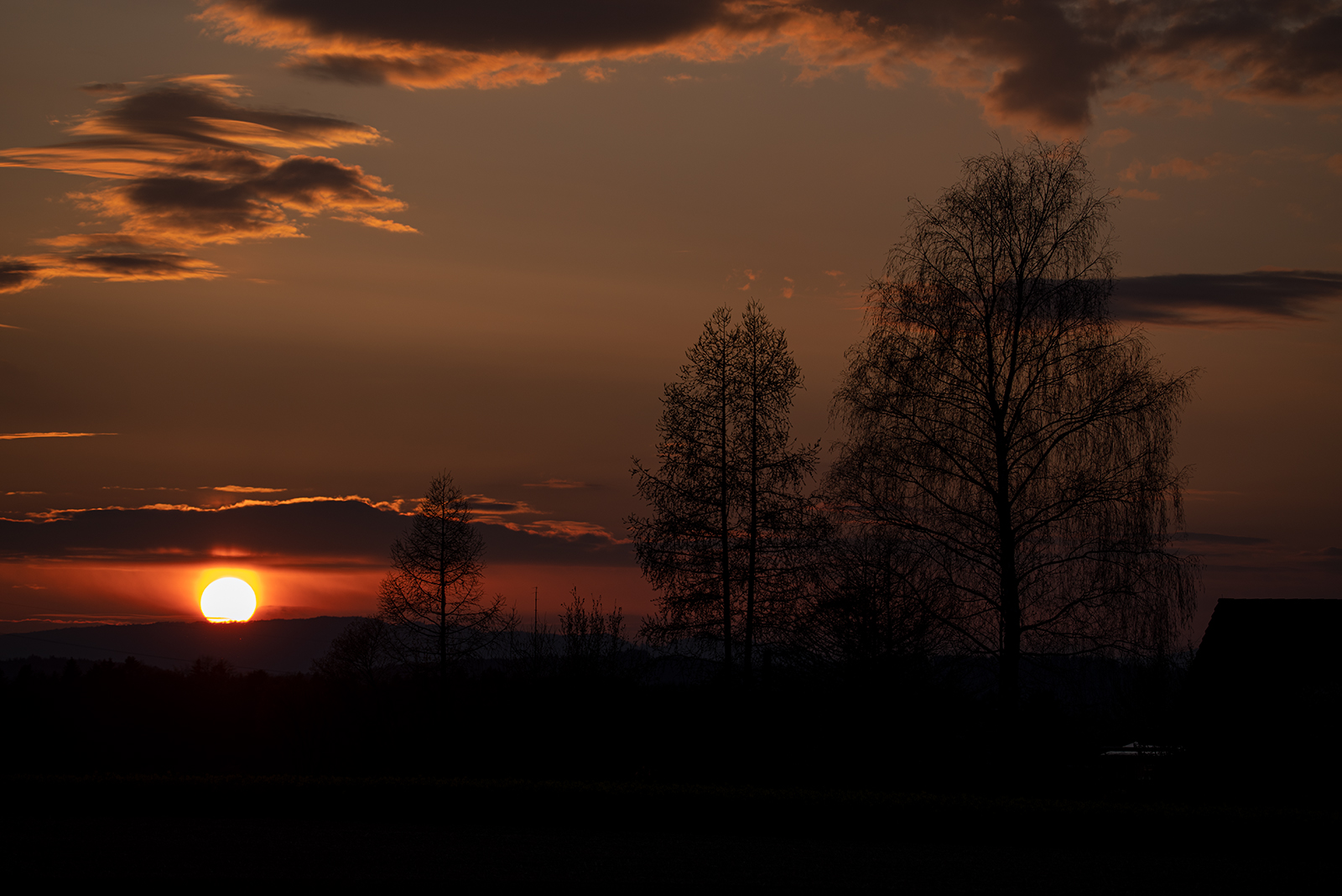 Hinter dem Baum.