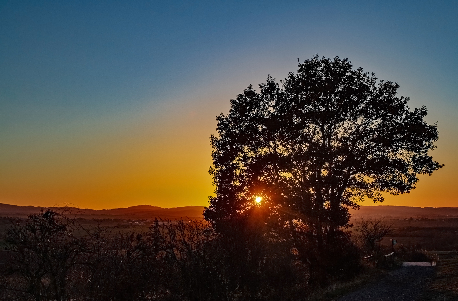 Hinter dem Baum