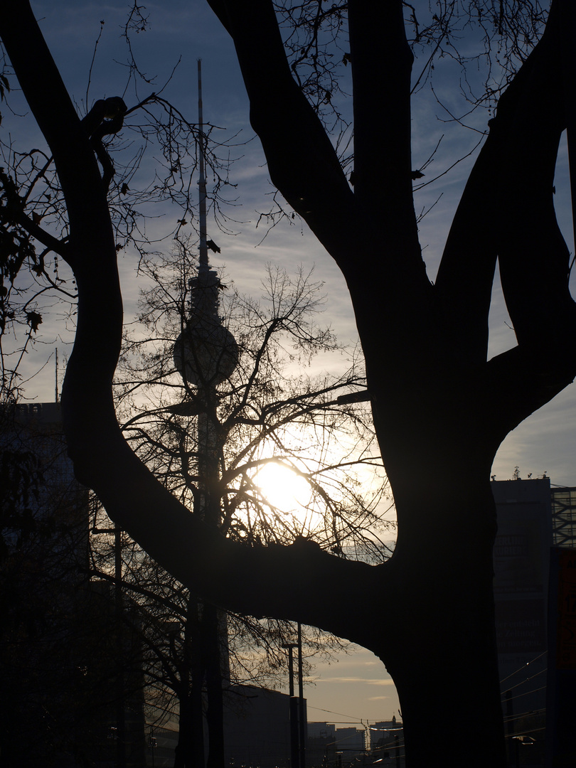 Hinter dem Baum