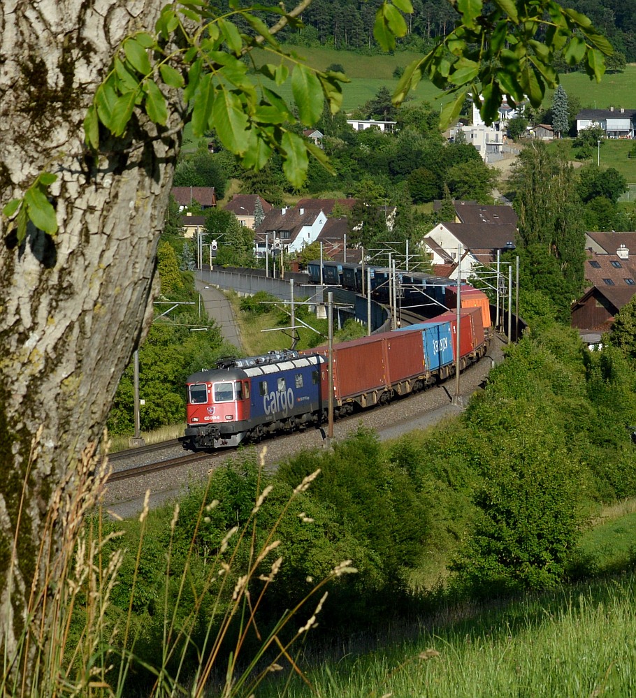 Hinter dem Baum