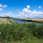 Hinter dem Deich bei Büsum