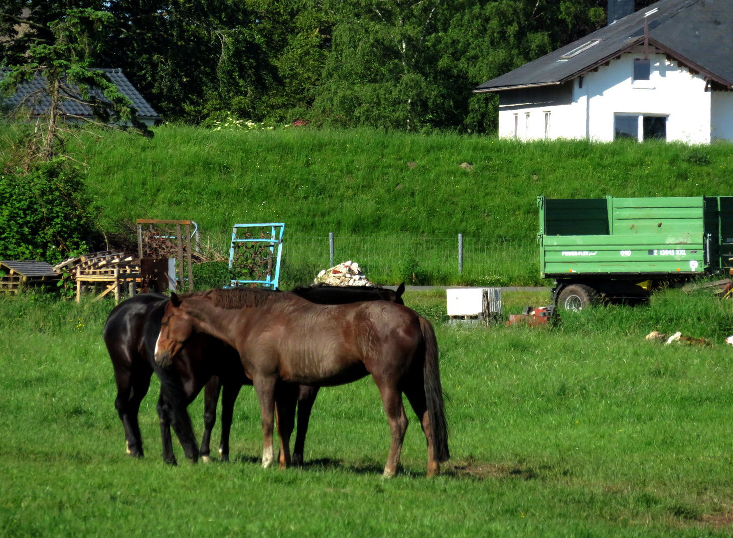 hinter dem Deich liegt die Oste ...