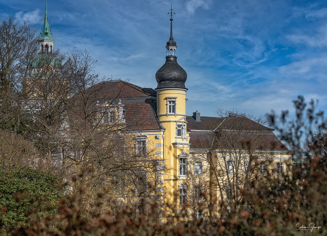 Hinter dem "Gestrüpp"