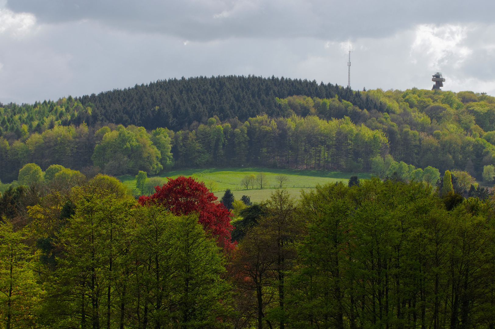 Hinter dem Haus