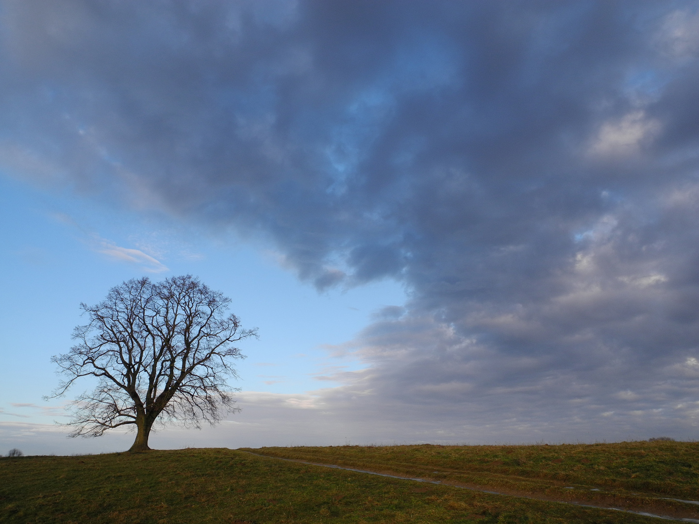 Hinter dem Haus