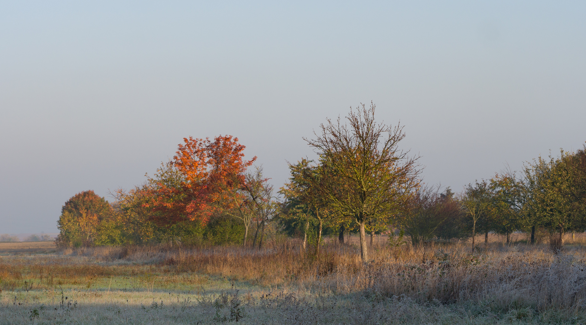 Hinter dem Heidewald I