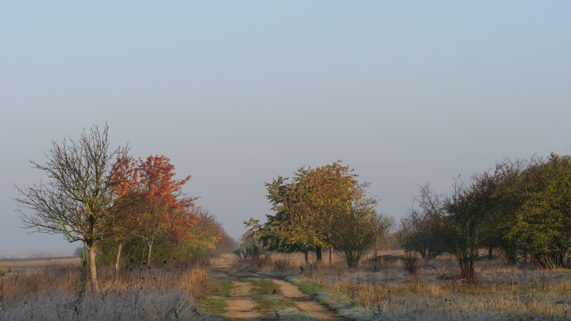 Hinter dem Heidewald II