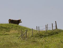 Hinter dem Horizont geht`s weiter.