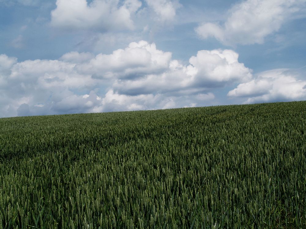 hinter dem Horizont gehts weiter