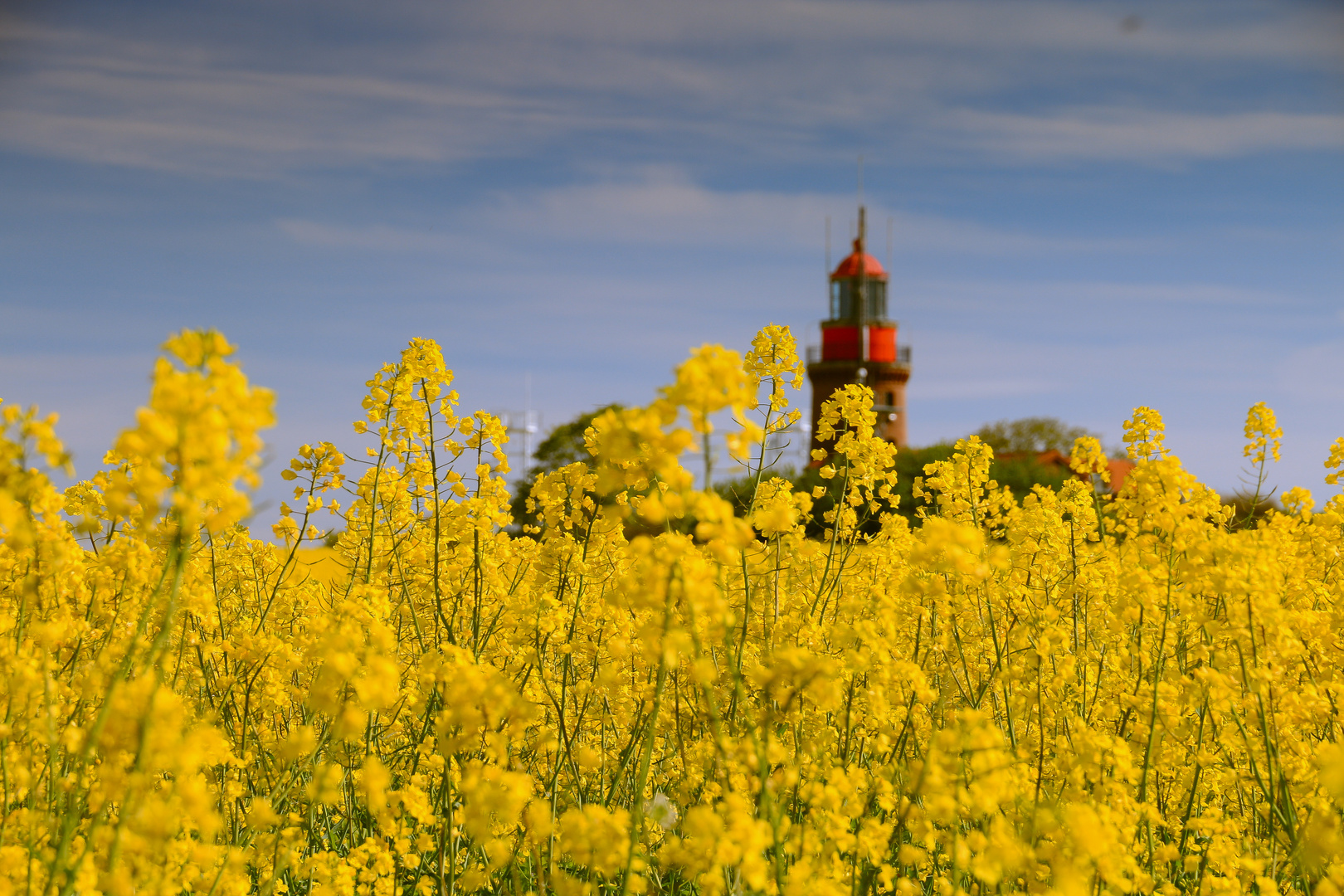 Hinter dem Rapsfeld